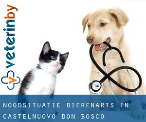 Noodsituatie dierenarts in Castelnuovo Don Bosco
