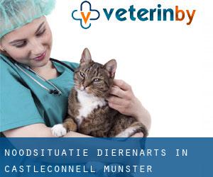 Noodsituatie dierenarts in Castleconnell (Munster)