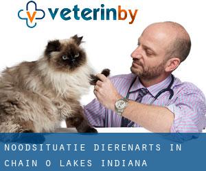Noodsituatie dierenarts in Chain-O-Lakes (Indiana)
