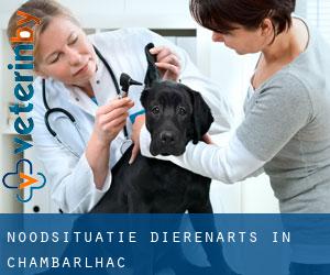 Noodsituatie dierenarts in Chambarlhac