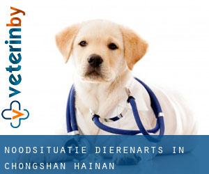 Noodsituatie dierenarts in Chongshan (Hainan)