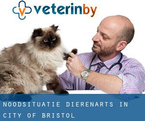 Noodsituatie dierenarts in City of Bristol