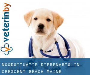 Noodsituatie dierenarts in Crescent Beach (Maine)