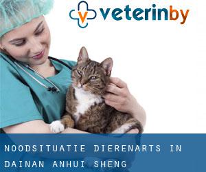 Noodsituatie dierenarts in Dainan (Anhui Sheng)