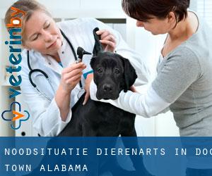 Noodsituatie dierenarts in Dog Town (Alabama)