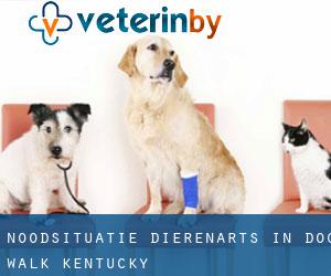 Noodsituatie dierenarts in Dog Walk (Kentucky)