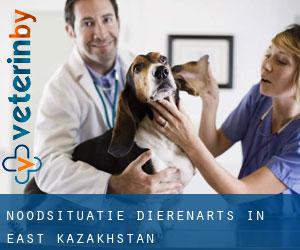 Noodsituatie dierenarts in East Kazakhstan