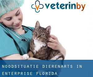 Noodsituatie dierenarts in Enterprise (Florida)