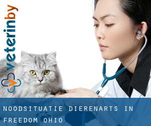Noodsituatie dierenarts in Freedom (Ohio)