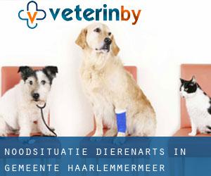 Noodsituatie dierenarts in Gemeente Haarlemmermeer