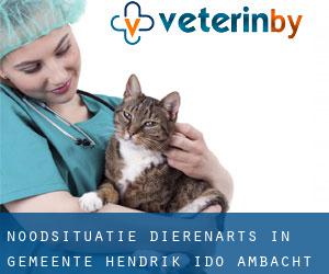 Noodsituatie dierenarts in Gemeente Hendrik-Ido-Ambacht