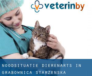 Noodsituatie dierenarts in Grabownica Starzeńska