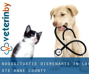 Noodsituatie dierenarts in Lac Ste. Anne County