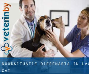 Noodsituatie dierenarts in Lào Cai Noodsituatie dierenarts in Lào Cai