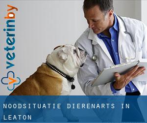 Noodsituatie dierenarts in Leaton