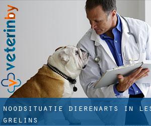 Noodsituatie dierenarts in Les Grelins