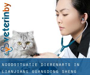Noodsituatie dierenarts in Lianjiang (Guangdong Sheng)