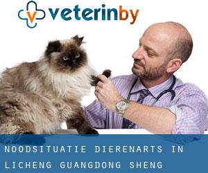 Noodsituatie dierenarts in Licheng (Guangdong Sheng)