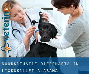 Noodsituatie dierenarts in Lickskillet (Alabama)