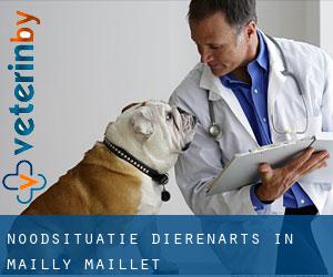 Noodsituatie dierenarts in Mailly-Maillet