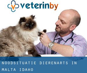 Noodsituatie dierenarts in Malta (Idaho)