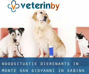 Noodsituatie dierenarts in Monte San Giovanni in Sabina