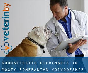 Noodsituatie dierenarts in Mosty (Pomeranian Voivodeship)