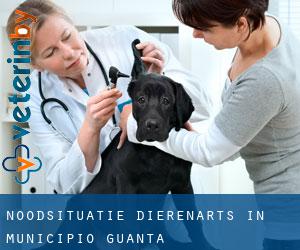 Noodsituatie dierenarts in Municipio Guanta