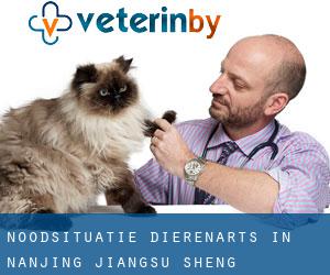 Noodsituatie dierenarts in Nanjing (Jiangsu Sheng)
