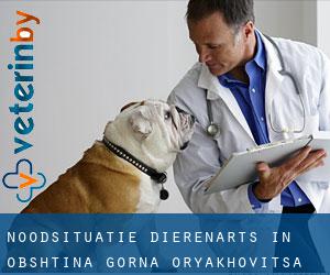 Noodsituatie dierenarts in Obshtina Gorna Oryakhovitsa