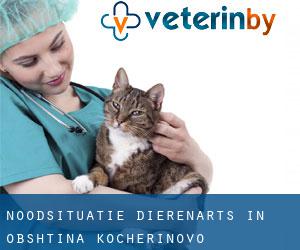 Noodsituatie dierenarts in Obshtina Kocherinovo