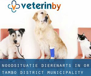 Noodsituatie dierenarts in OR Tambo District Municipality
