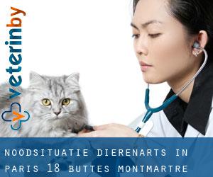Noodsituatie dierenarts in Paris 18 Buttes-Montmartre