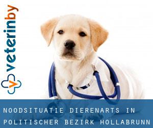 Noodsituatie dierenarts in Politischer Bezirk Hollabrunn