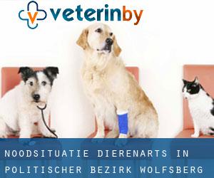 Noodsituatie dierenarts in Politischer Bezirk Wolfsberg