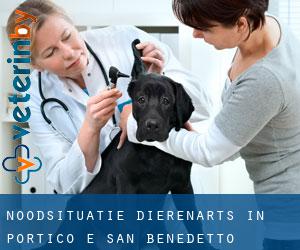 Noodsituatie dierenarts in Portico e San Benedetto