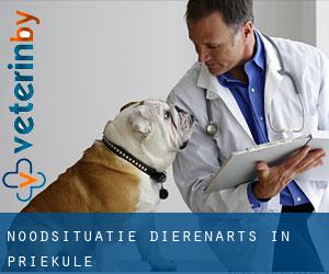 Noodsituatie dierenarts in Priekule