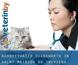 Noodsituatie dierenarts in Saint-Mathieu-de-Tréviers