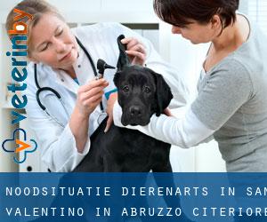 Noodsituatie dierenarts in San Valentino in Abruzzo Citeriore