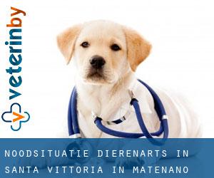 Noodsituatie dierenarts in Santa Vittoria in Matenano