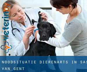 Noodsituatie dierenarts in Sas van Gent