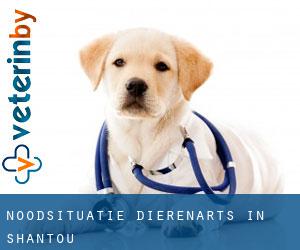 Noodsituatie dierenarts in Shantou Noodsituatie dierenarts in Shantou