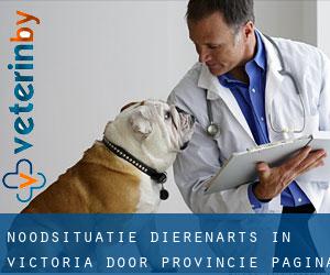 Noodsituatie dierenarts in Victoria door Provincie - pagina 1