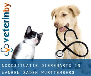 Noodsituatie dierenarts in Wangen (Baden-Württemberg)