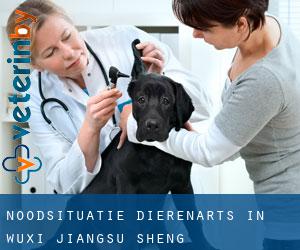 Noodsituatie dierenarts in Wuxi (Jiangsu Sheng)