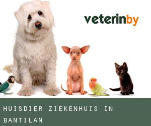 Huisdier ziekenhuis in Bantilan