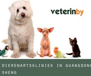 Dierenartskliniek in Guangdong Sheng Dierenartskliniek in Guangdong Sheng