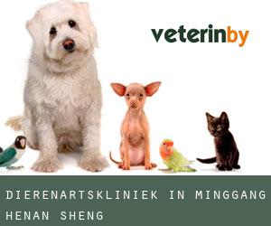 Dierenartskliniek in Minggang (Henan Sheng)