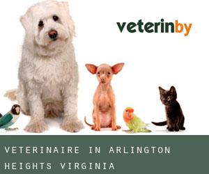 Veterinaire in Arlington Heights (Virginia)