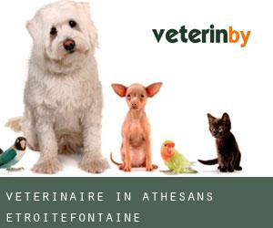 Veterinaire in Athesans-Étroitefontaine
